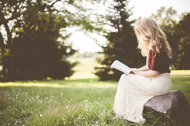 girl, book, sitting, alone, rock, reading, bible, nature, grass, park, reading girl, reader, blonde woman, young woman, female, girl, alone, reading, bible, bib